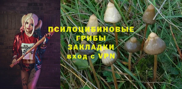 apvp Михайловка