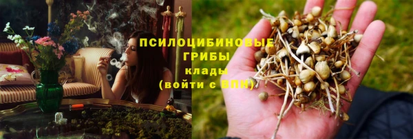 стаф Медвежьегорск
