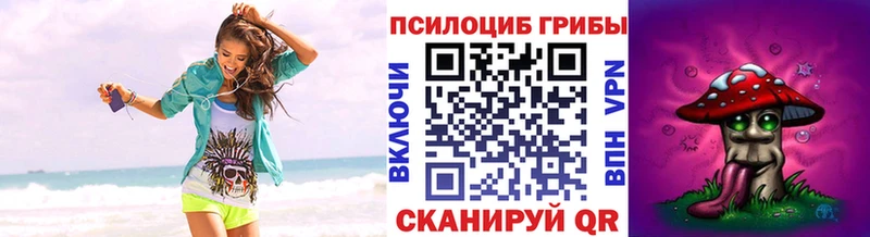 мега ссылка  Краснодар  Галлюциногенные грибы Psilocybe 