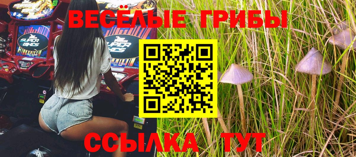 Галлюциногенные грибы GOLDEN TEACHER  Краснодар 