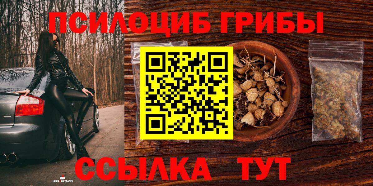 Галлюциногенные грибы прущие грибы Краснодар