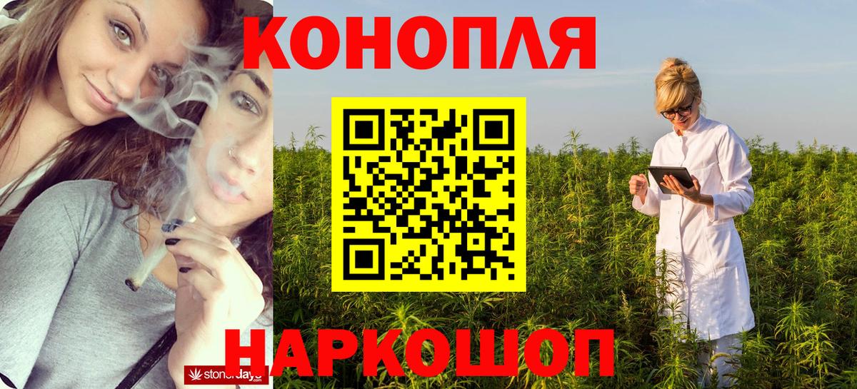 Бошки марихуана Amnesia  Шишки марихуана гибрид  Краснодар  Канабис Ganja 